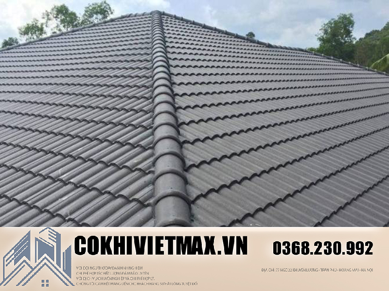 cokhivietmax.vn